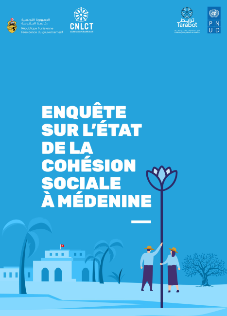 Social cohesion survey in Médenine